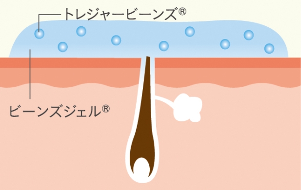 専用ジェルを塗布する流れ