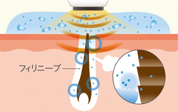 クリプトンライトを照射する流れ